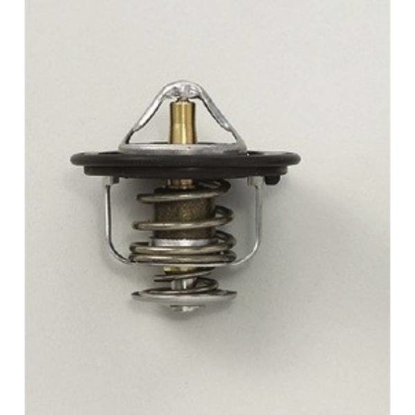 Spoon Sports - Low Temp Thermostat (S2000)