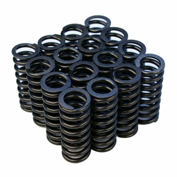 Blox Racing - Valve Spring Set - D-Series SOHC VTEC