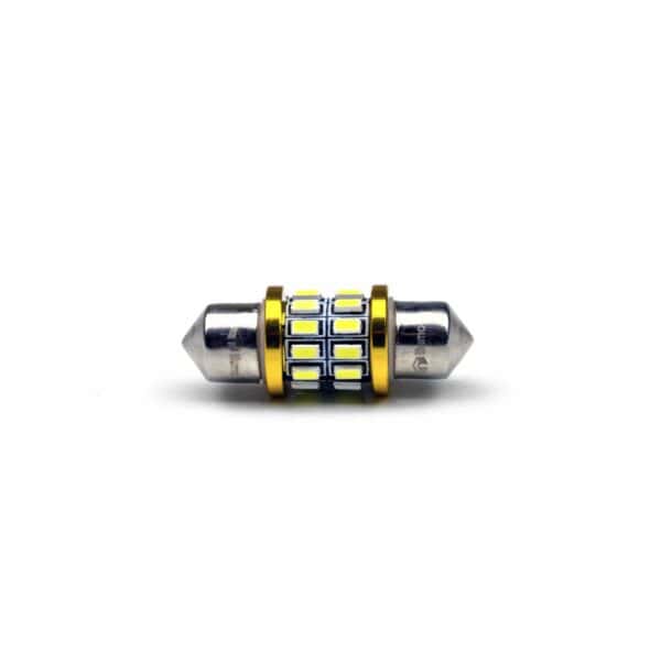 iilumo - FESTOON - 31MM HIGH OUTPUT 360